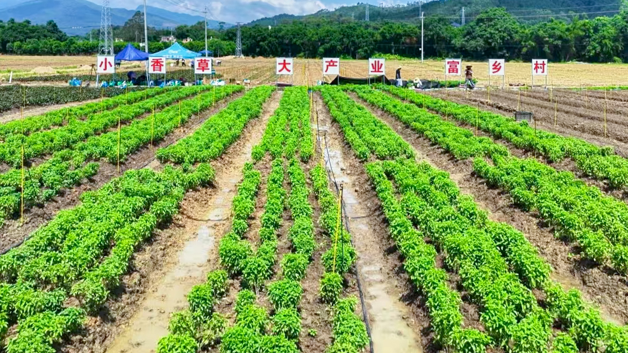 购宝钱包